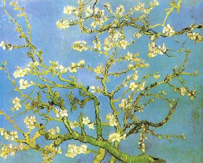 Vincent Van Gogh Blossomong Almond Tree